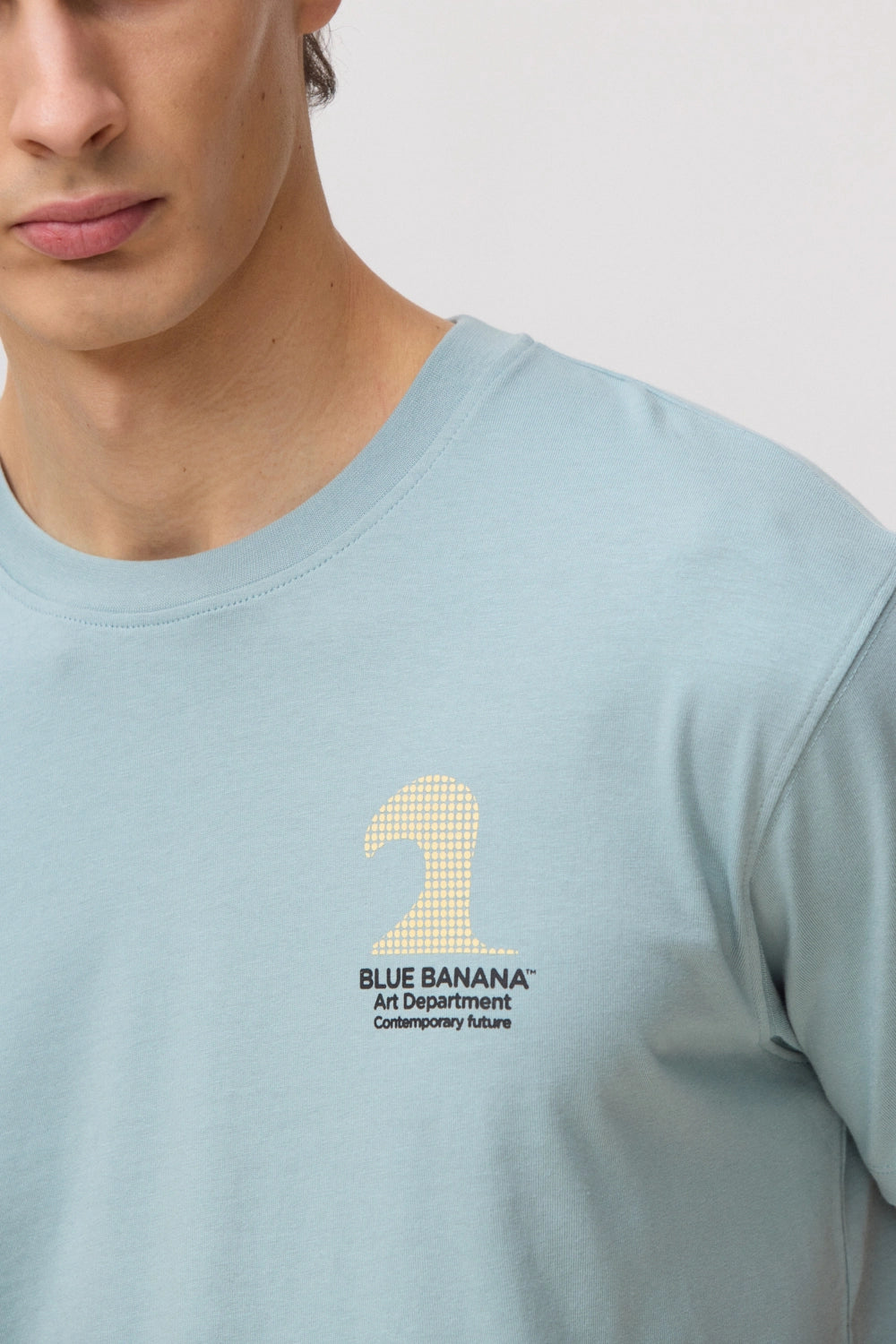 CAMISETA ARTIST MIST