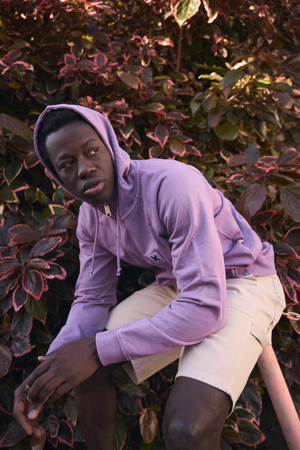 SUDADERA CON CAPUCHA FULL ZIP ICONIC LIGHT PURPLE