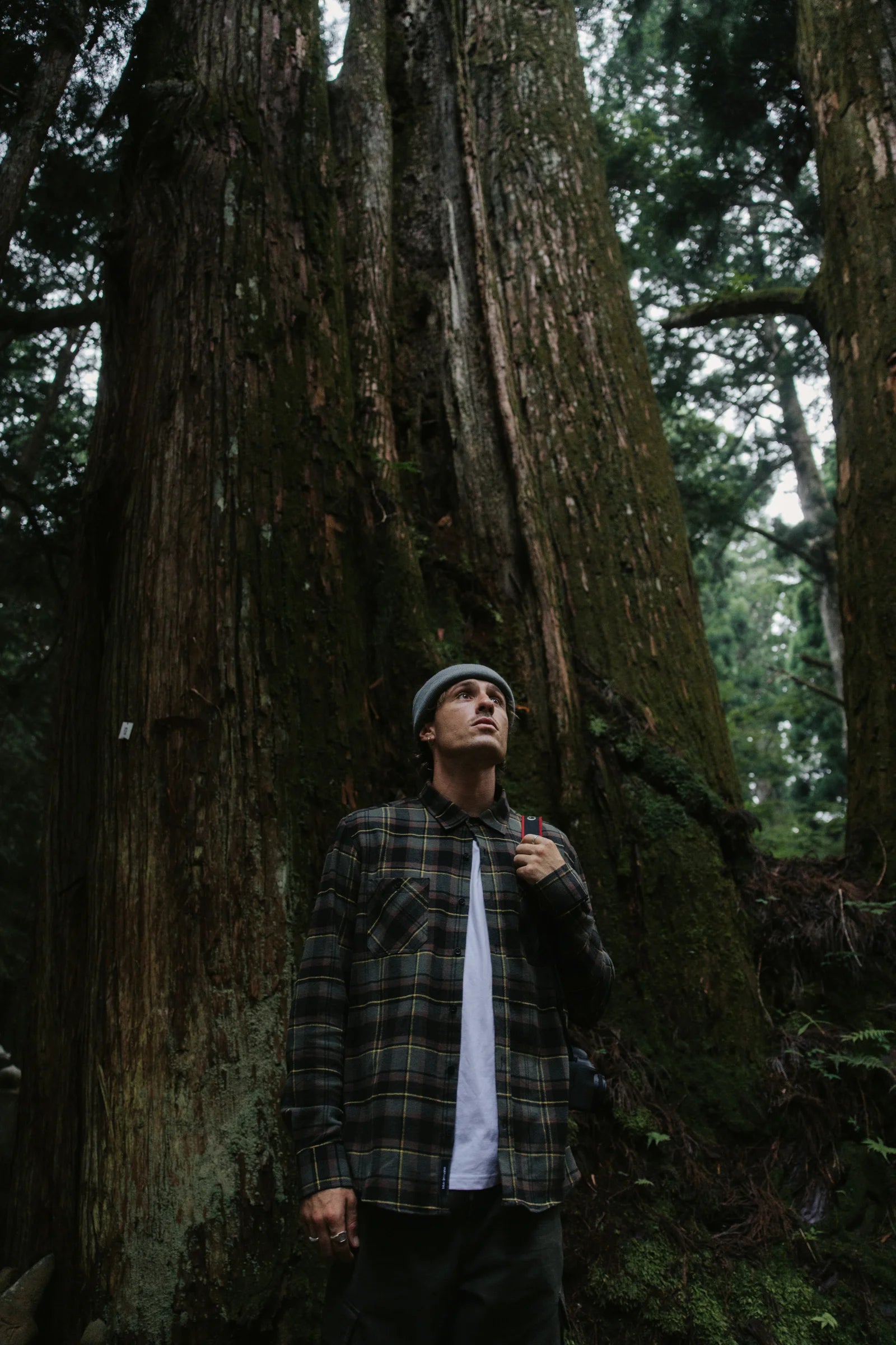 CAMISA CAMP KHAKI thumbnail