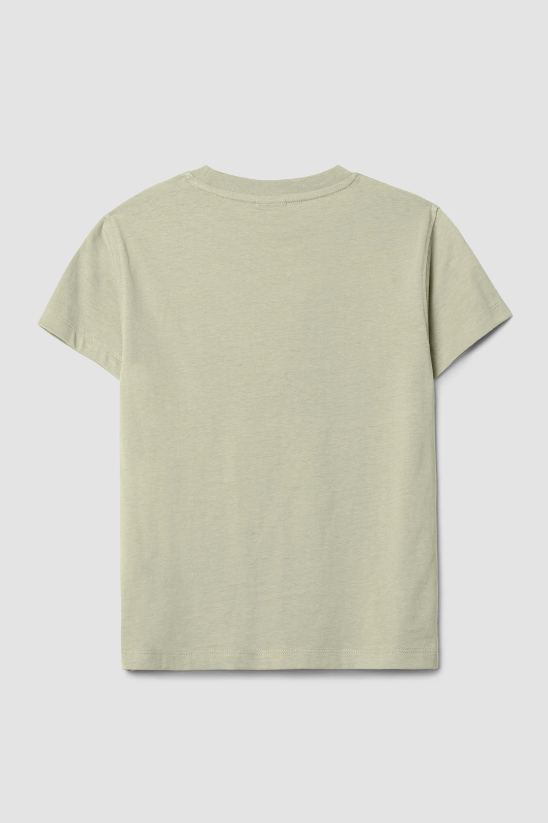 SAGE HEART WOMAN TEE