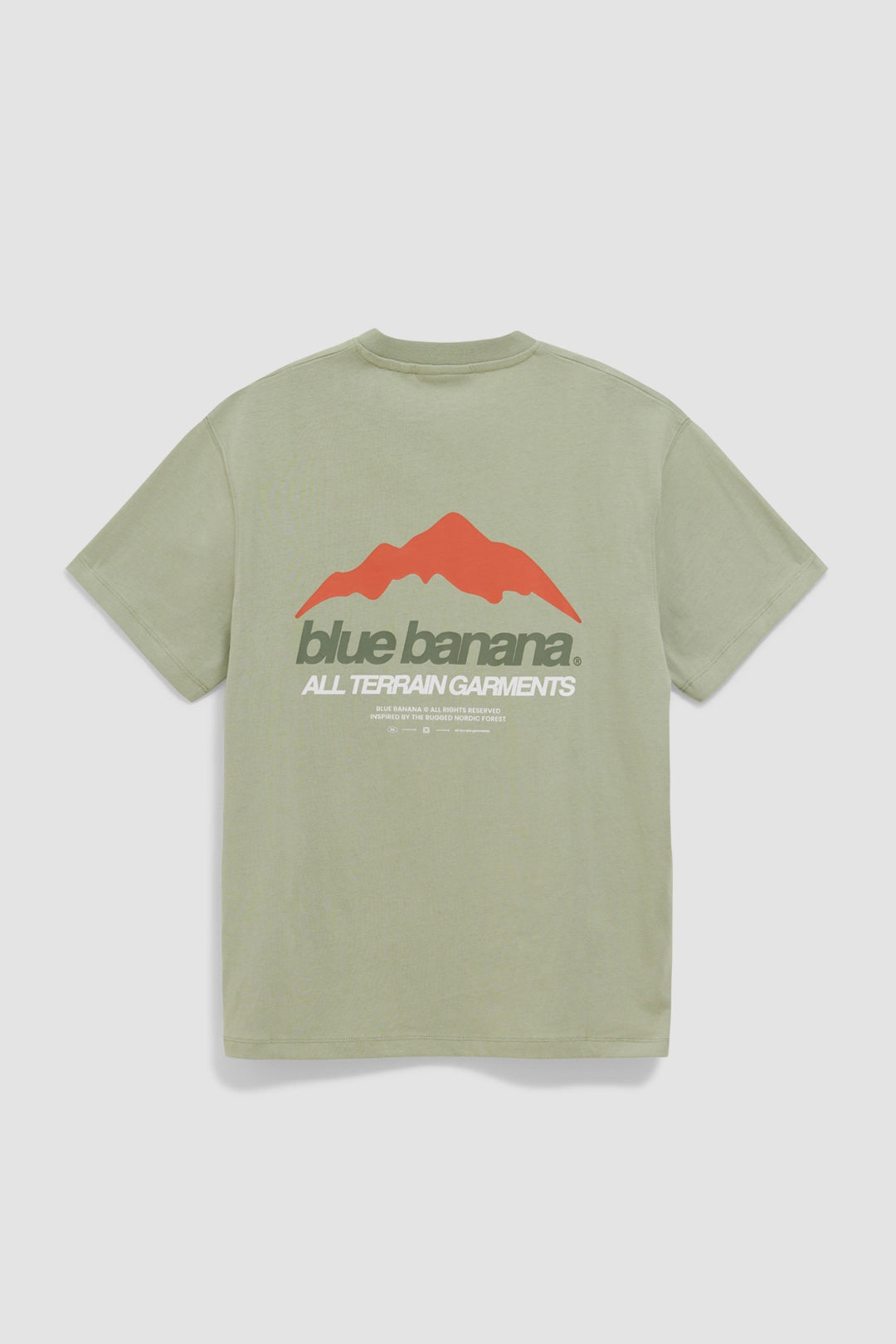 SAGE MOUNTAIN TEE